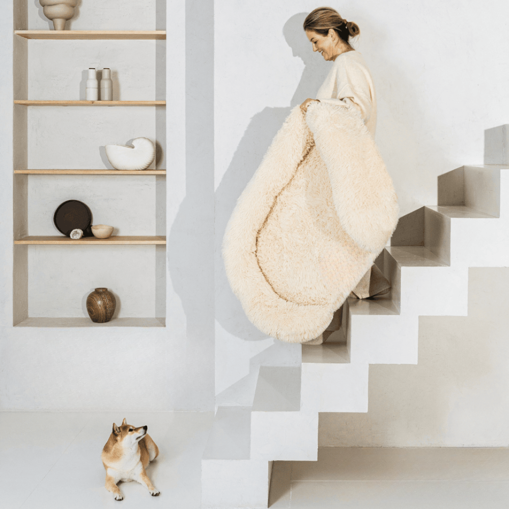 Devako letto ortopedico di supporto per cani