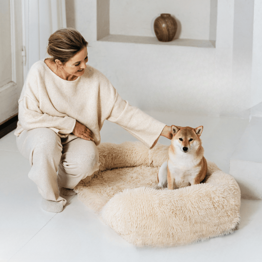 Devako letto ortopedico di supporto per cani