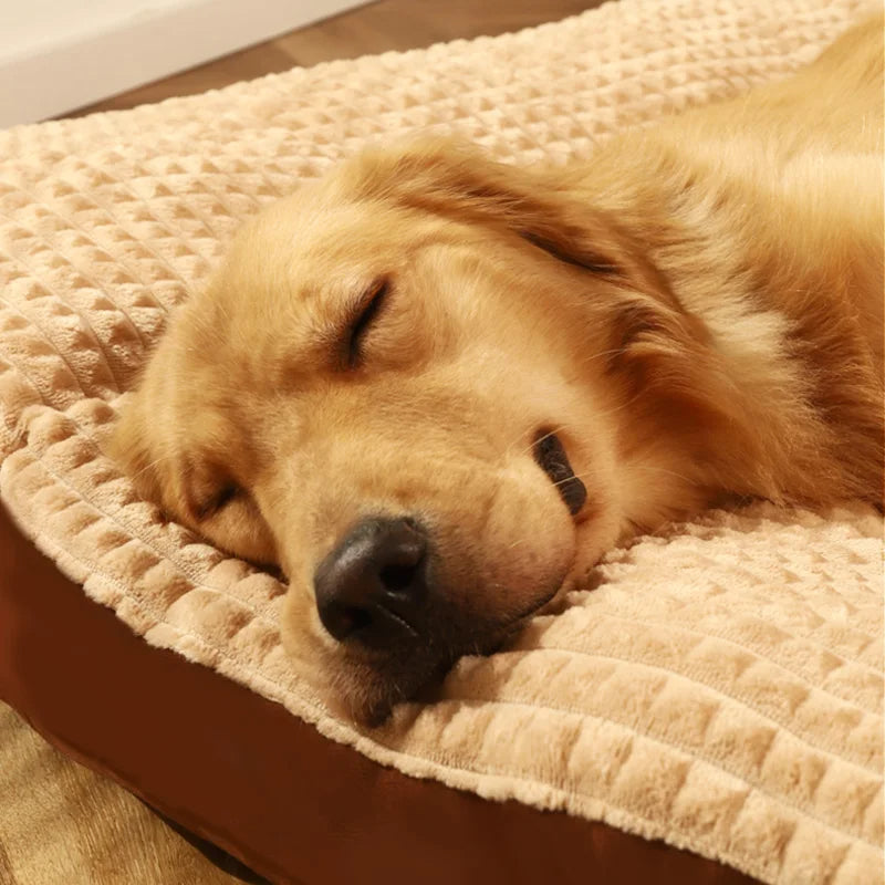 ComfyCanine – Confort de sommeil ergonomique pour chiens