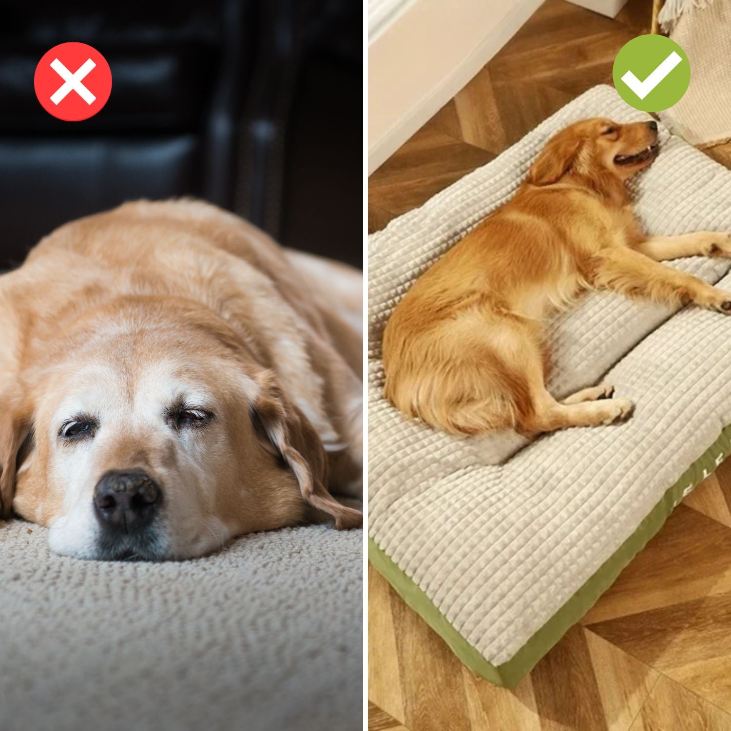 ComfyCanine – Confort de sommeil ergonomique pour chiens
