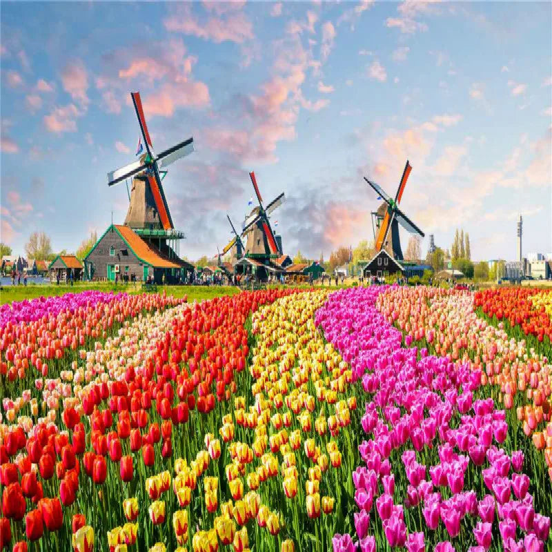 500 stukjes puzzel met verschillende landschapspatronen voor kinderen 30