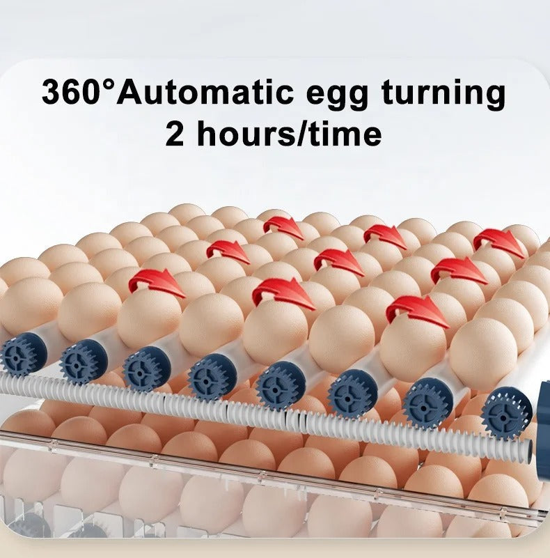 Automatische Brutmaschine – HatchEase 3