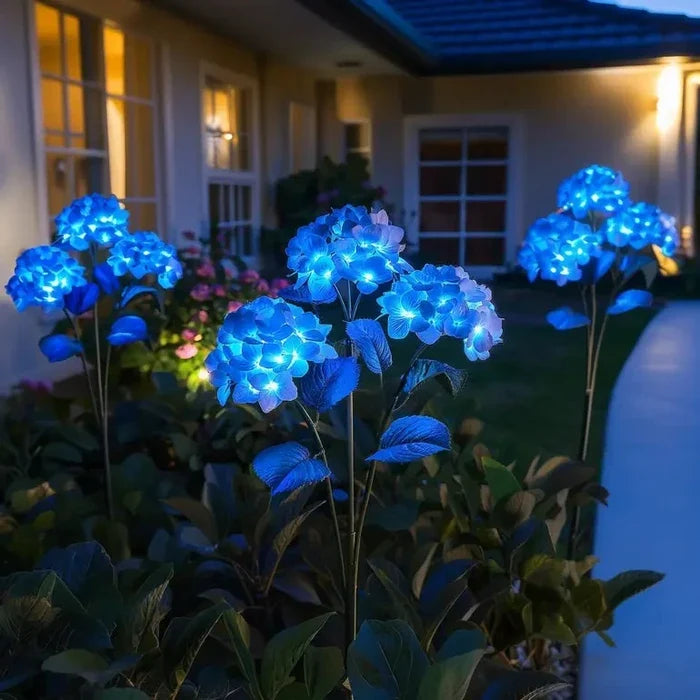 Solar-Hortensienleuchten – Blütendolden, die nach Sonnenuntergang leuchten