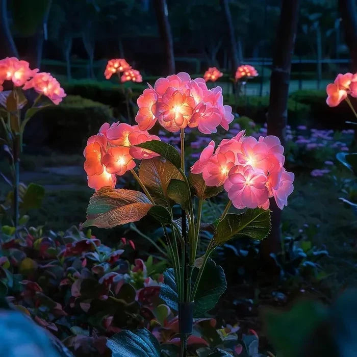 Solar-Hortensienleuchten – Blütendolden, die nach Sonnenuntergang leuchten