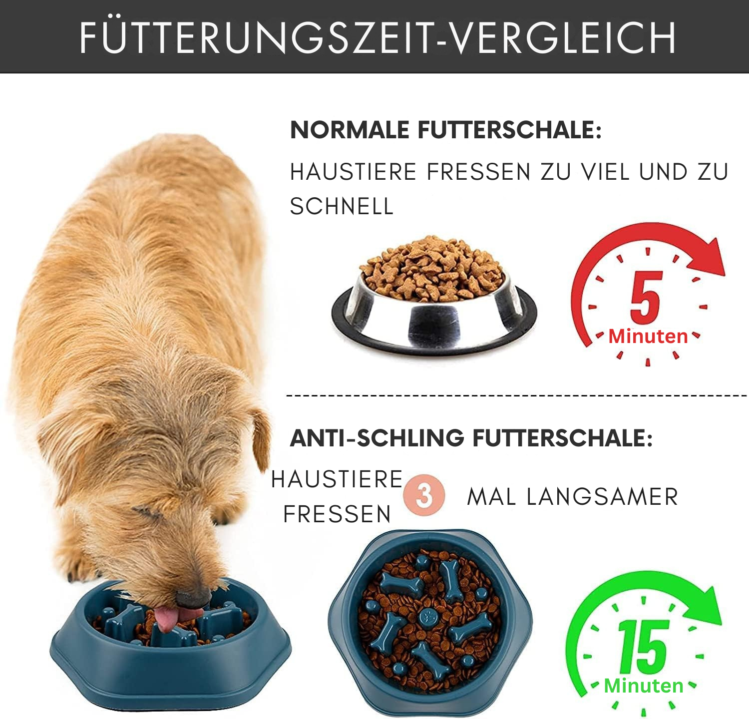 BoneBowl Harmony – Stilvoller Anti-Schling-Napf für gesundes Fressen