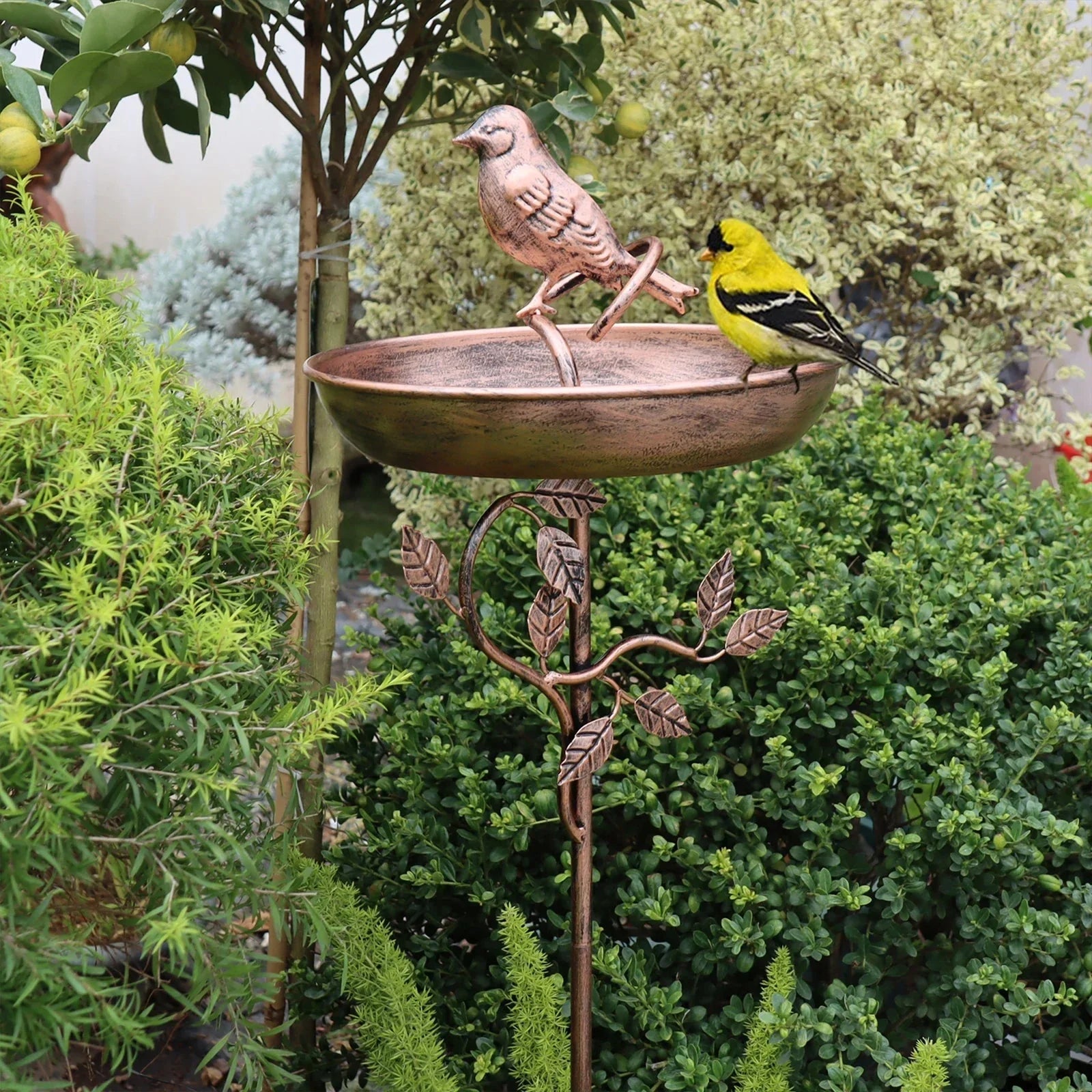 Gartenvogeltränke mit Metallspieß und flacher Schale für Wildvögel, sicherer Stand 4