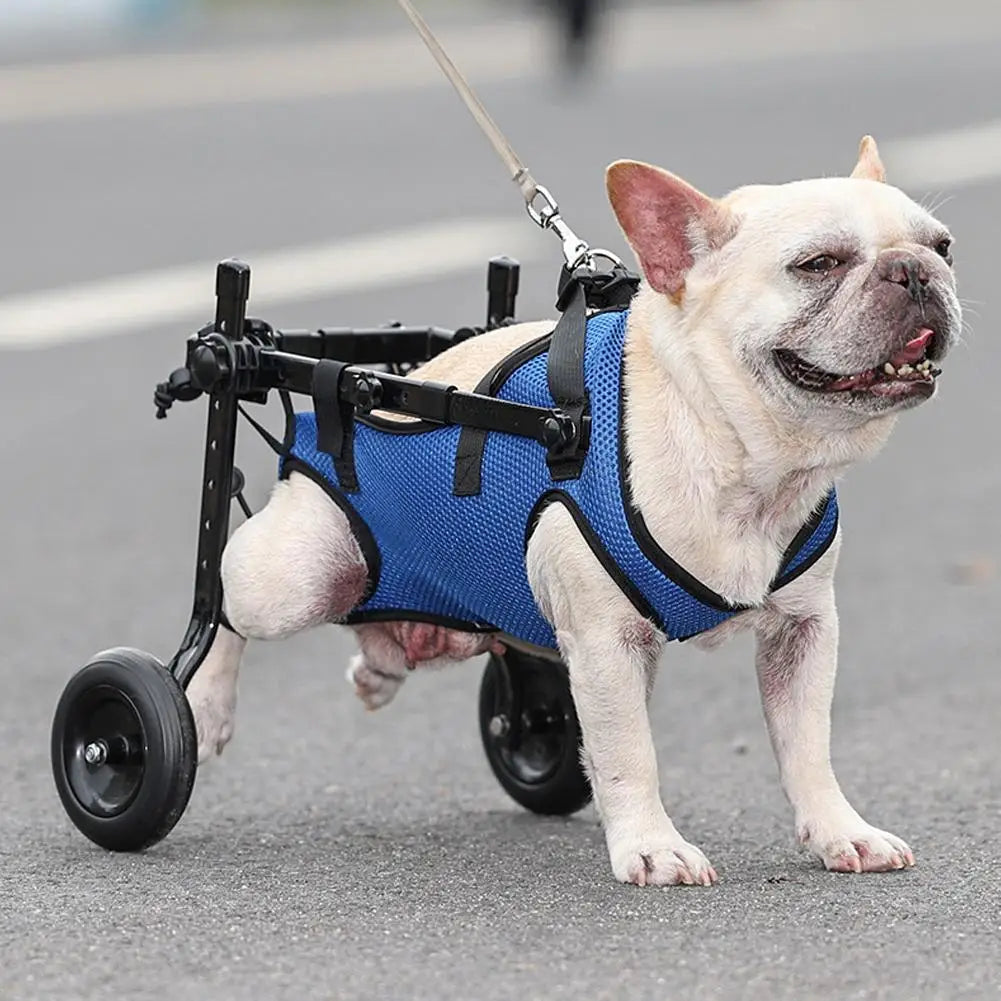 Carrello per la salute e la cura per cani con limitazioni di mobilità
