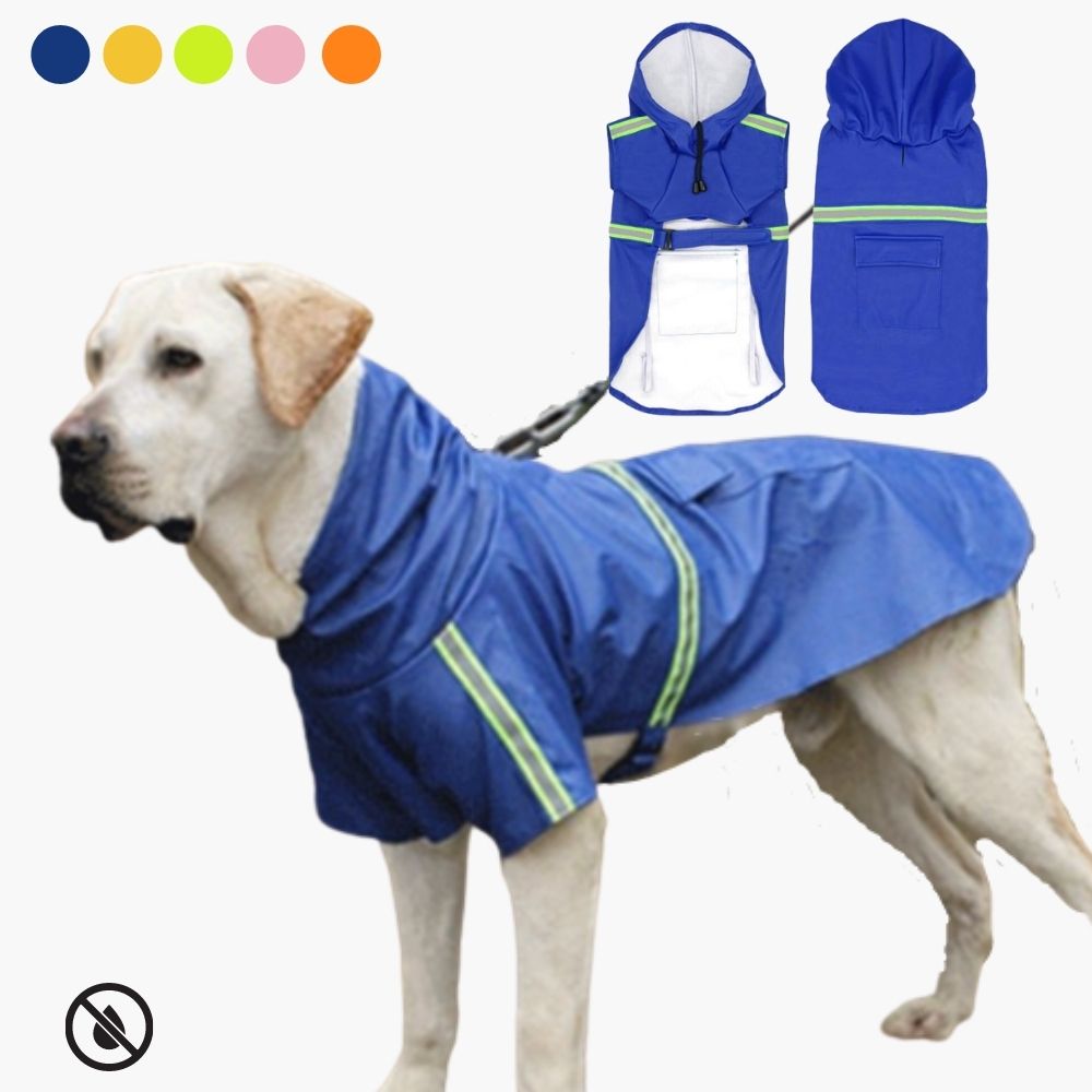 Veste de pluie pour chiens - RainGuard Pro