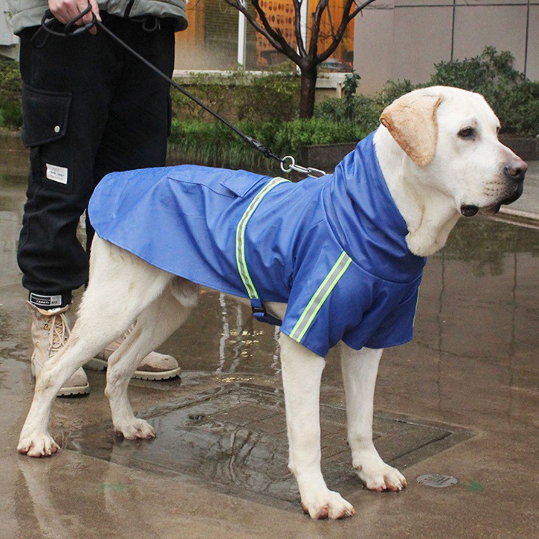 Veste de pluie pour chiens - RainGuard Pro