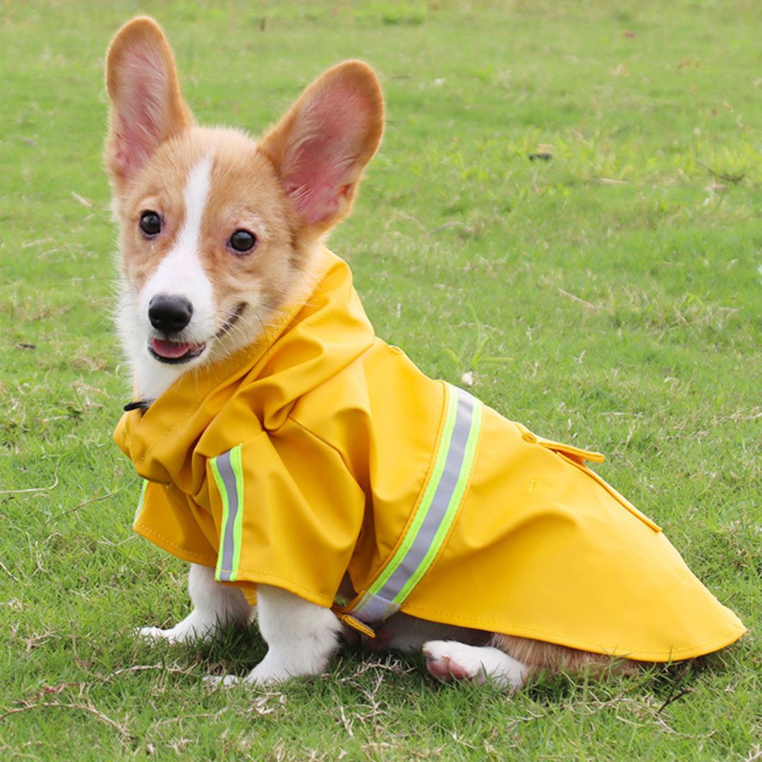 Veste de pluie pour chiens - RainGuard Pro