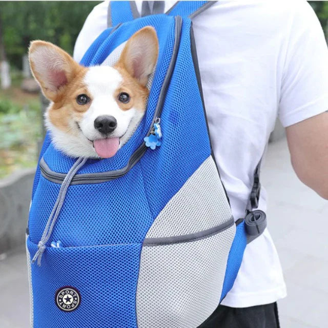 Hunderucksack Tragetasche Atmungsaktiv Verstellbar für Unterwegs