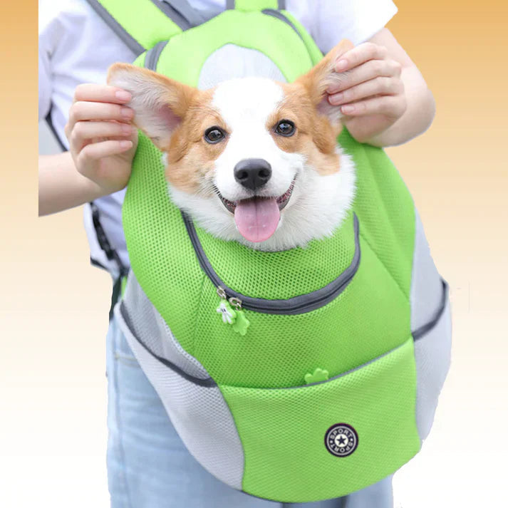 Hunderucksack Tragetasche Atmungsaktiv Verstellbar für Unterwegs