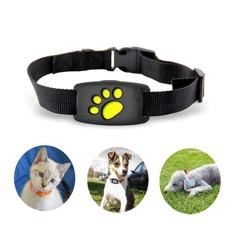 Intelligente GPS-Halsband für Katzen und kleine Hunde – PawTrack 1