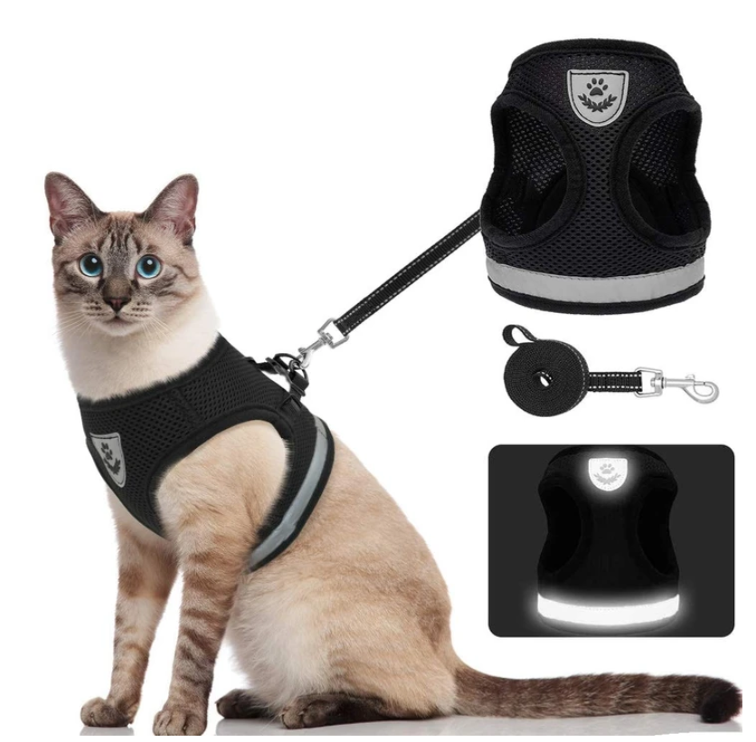 Katzengeschirr mit Leine - AdventureKit 0