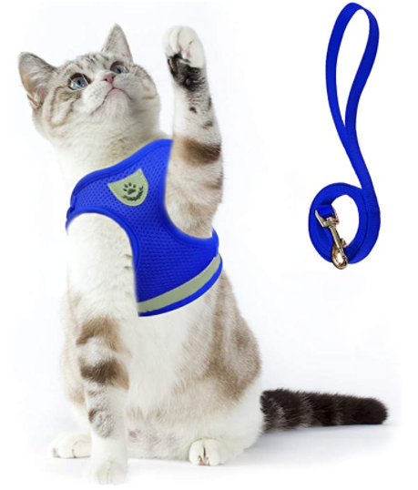 Katzengeschirr mit Leine - AdventureKit 10