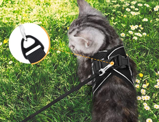 Katzengeschirr mit Leine - AdventureKit 4