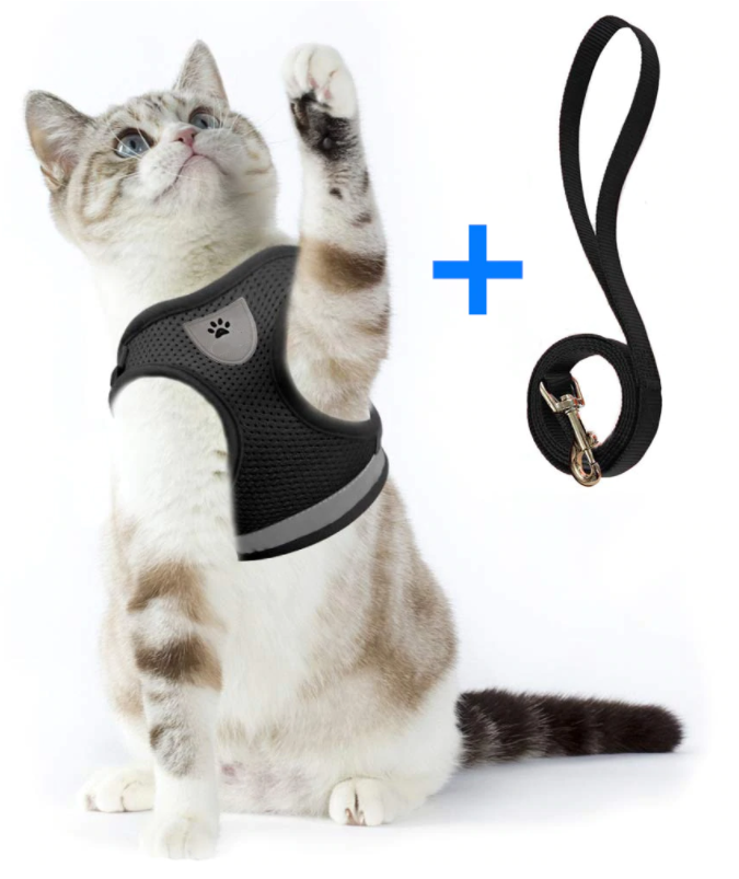Katzengeschirr mit Leine - AdventureKit 7