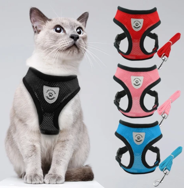 Katzengeschirr mit Leine - AdventureKit 8