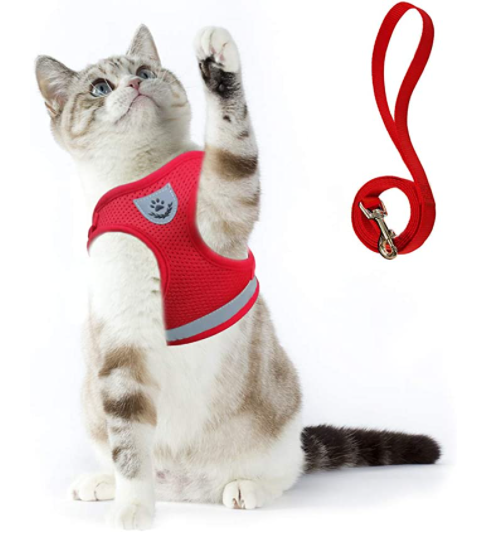 Katzengeschirr mit Leine - AdventureKit 9