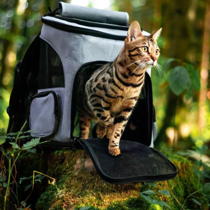 Katzenrucksack – PurrPack 1