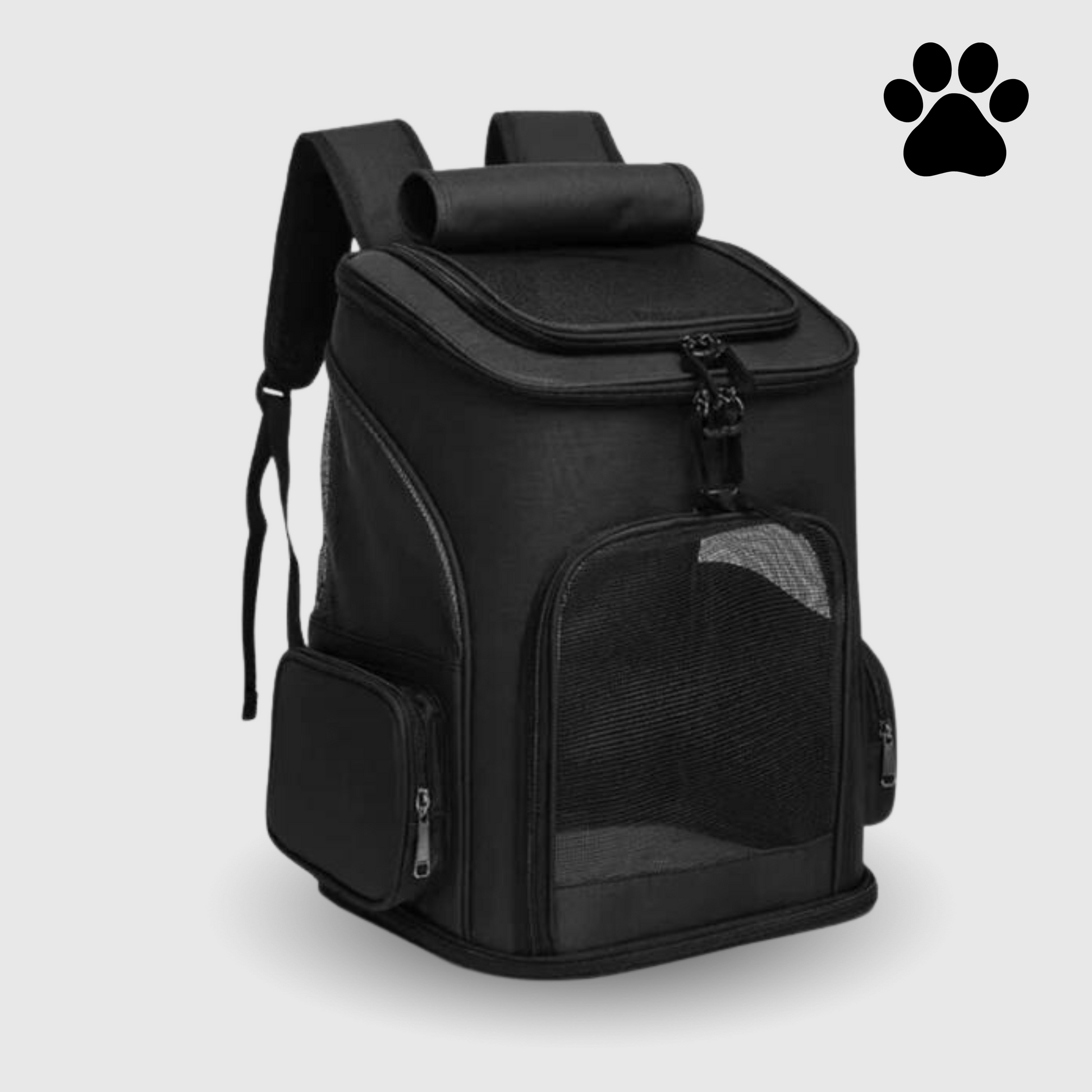 Katzenrucksack – PurrPack 2