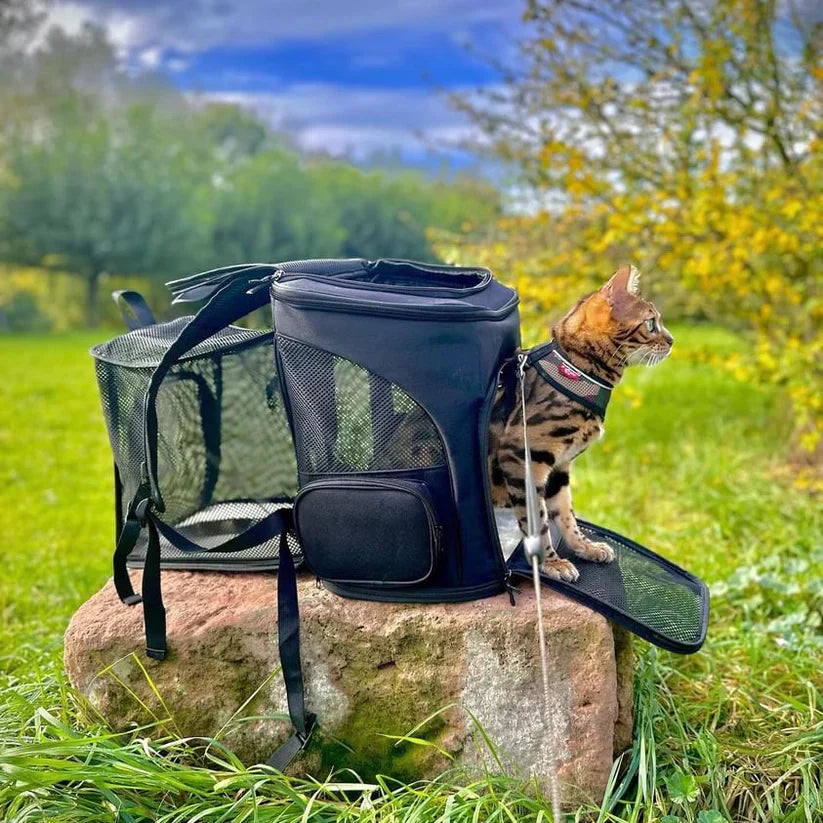Katzenrucksack – PurrPack 3