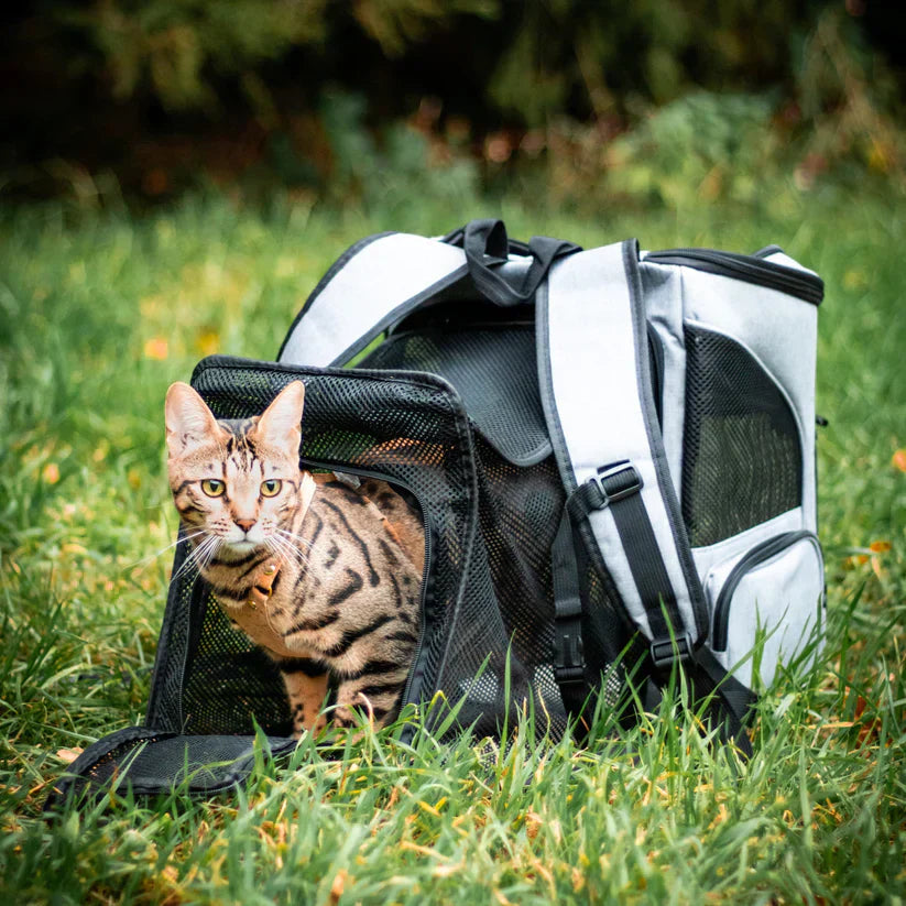 Katzenrucksack – PurrPack 6