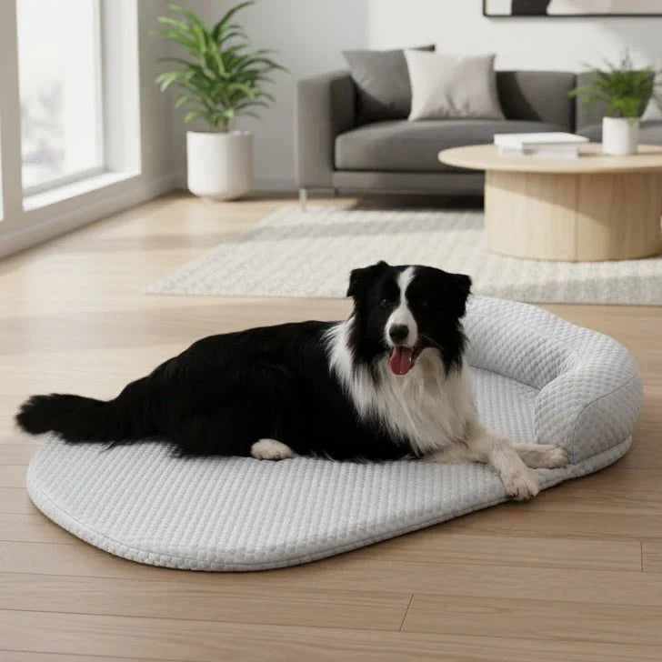 COOLTAIL – Cooling Bed Mat for Dogs and Cats Vestragear