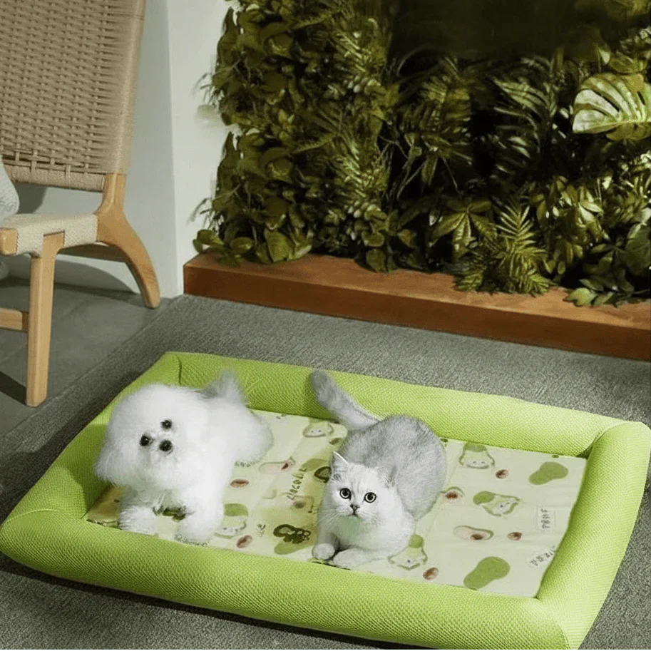 ICEBUDDY – Cooling Dog Bed for Small and Medium-Sized Dogs Vestragear
