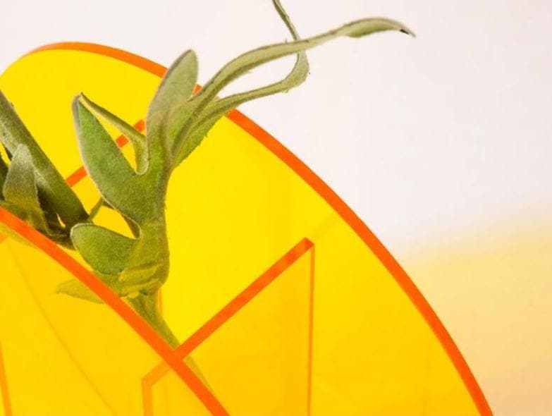 Acrilea – akrylvaske transparent, farverig og alsidig til dekoration og skrivebord