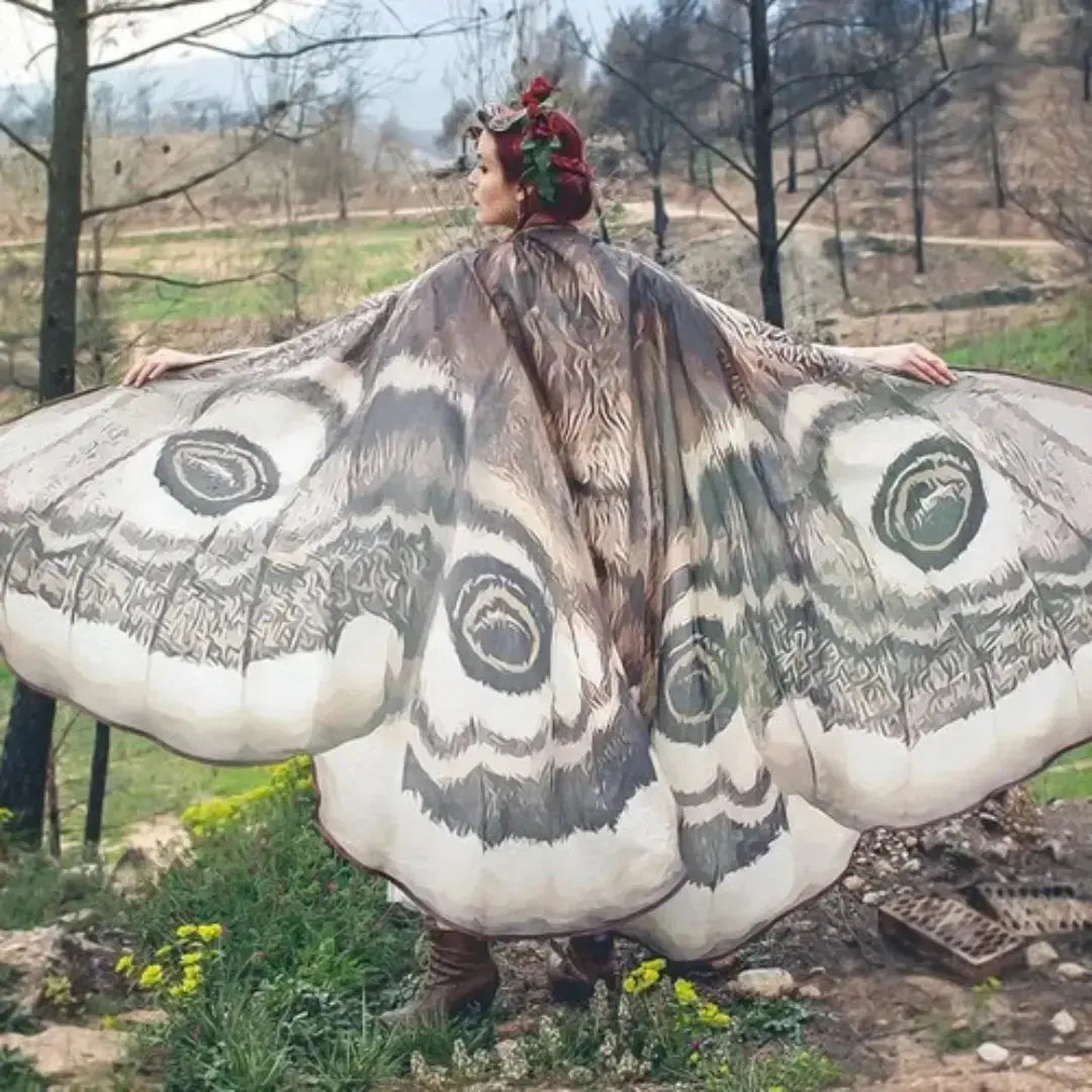 Nachtvlinder Cape Grey Moth – Elegante Vleugelomhang voor Creatieve Momenten | Sansoti 0