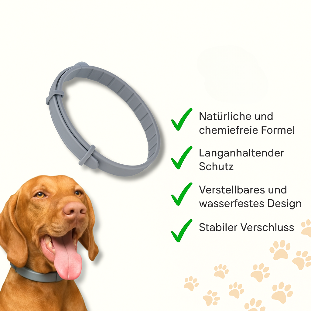 Flåthalsbånd til hunde og katte – plantebaseret og vandafvisende