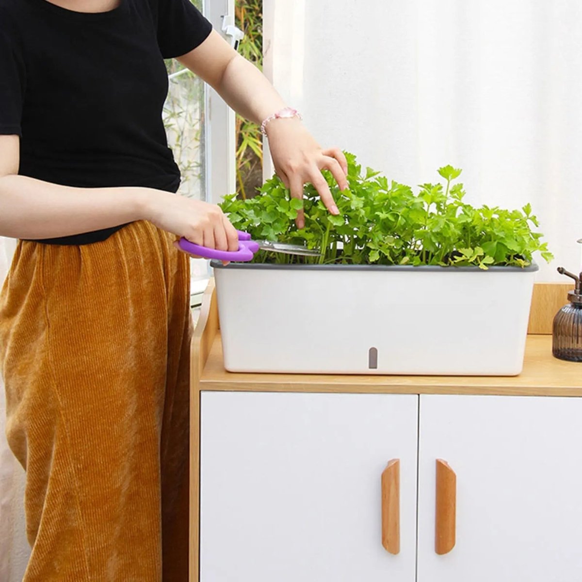 HYDRONEST – Self-watering Plant Container for Continuous Moisture Control Vestragear