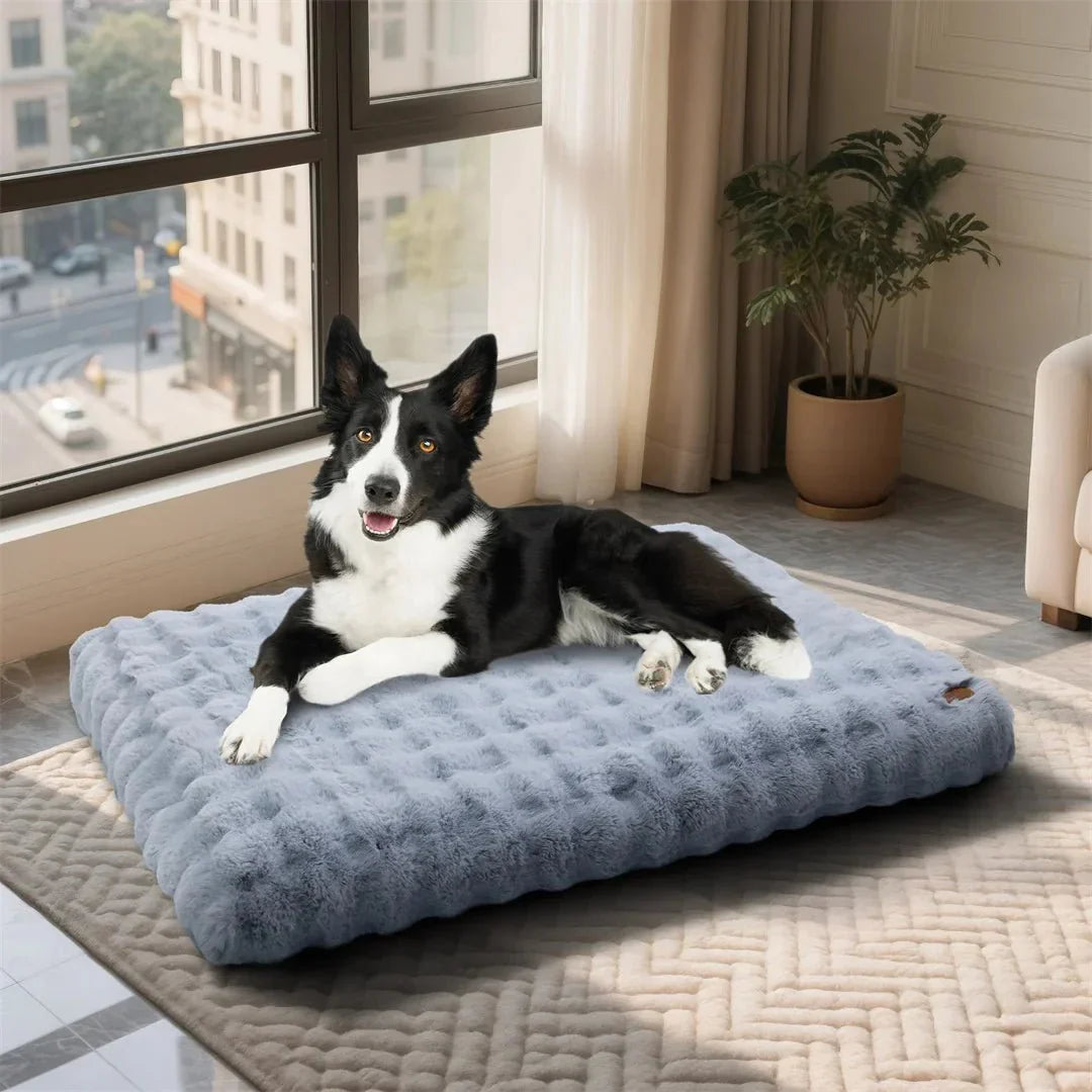 PETSERENE – Calming Bed for Dogs & Cats Vestragear