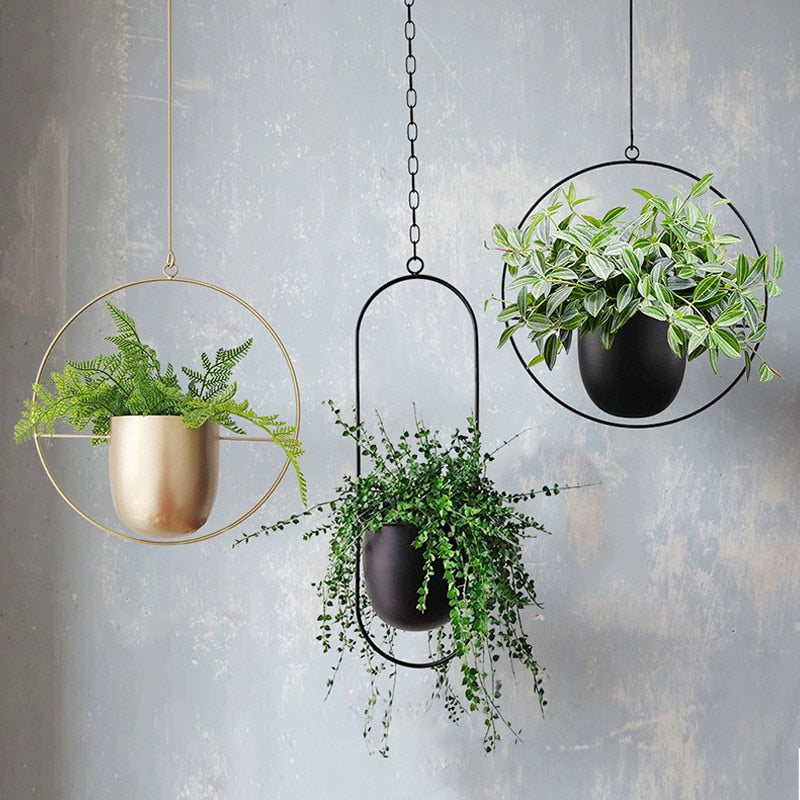 EleganceLeaf Suspensions pour plantes – Design luxueux rencontre esthétique naturelle