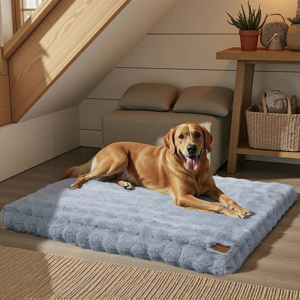 PETSERENE – Calming Bed for Dogs & Cats Vestragear