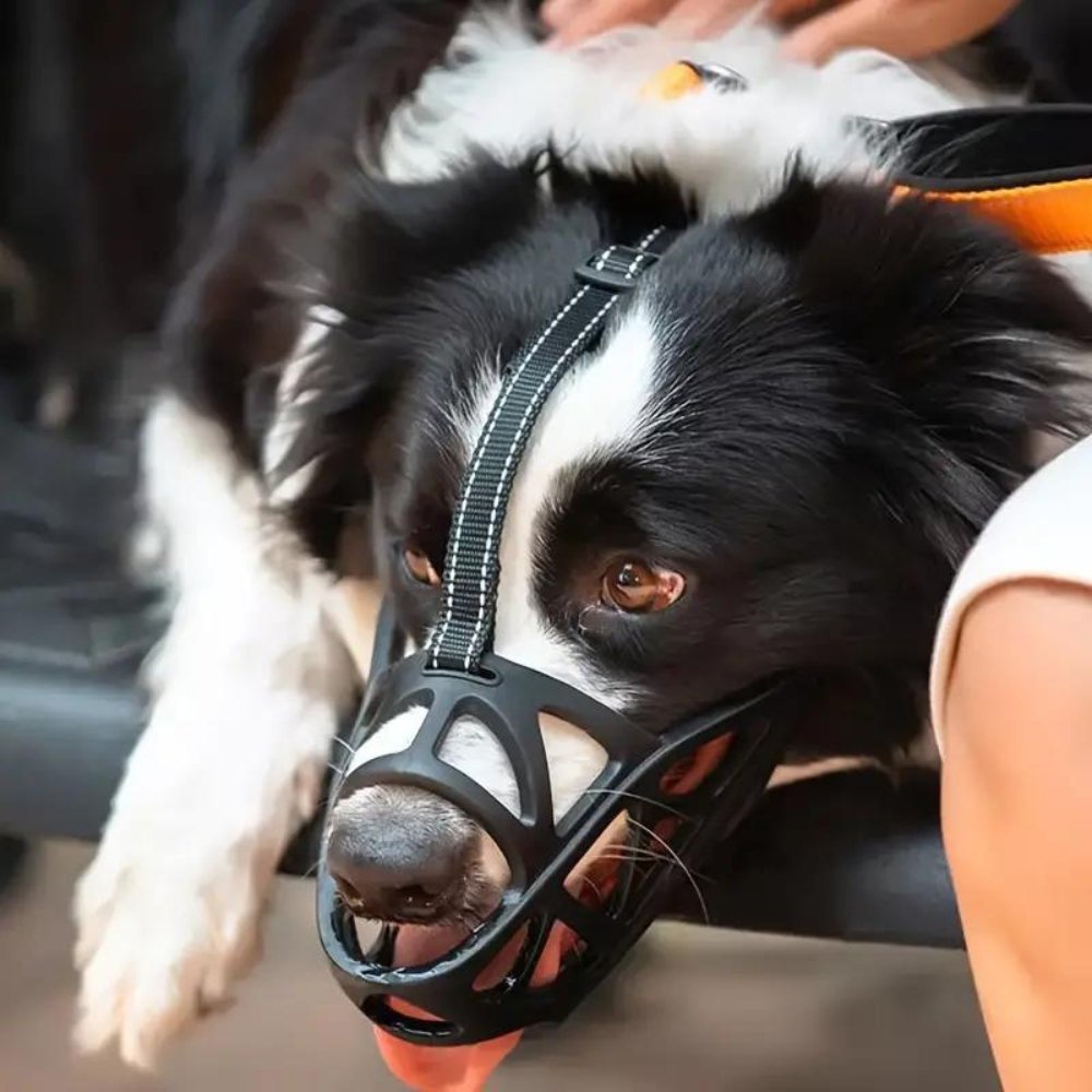 Hundemaulkorb – Atmungsaktives Design & Weiche Passform für Alltag und Training