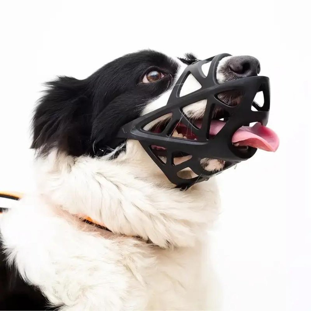 Hundemaulkorb – Atmungsaktives Design & Weiche Passform für Alltag und Training