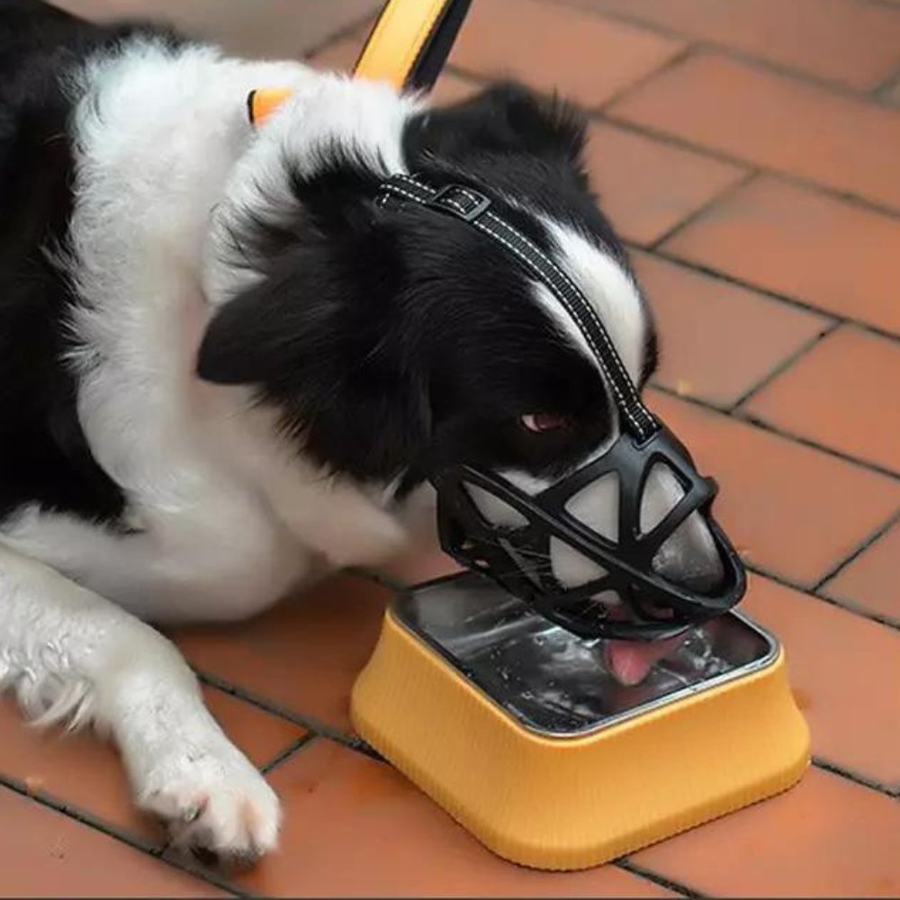 Hundemaulkorb – Atmungsaktives Design & Weiche Passform für Alltag und Training