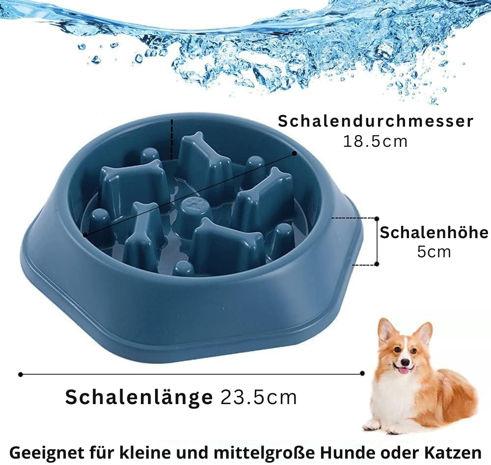 BoneBowl Harmony – Stilvoller Anti-Schling-Napf für gesundes Fressen