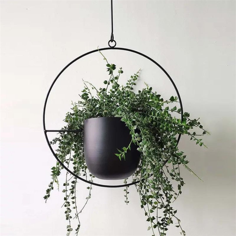 EleganceLeaf Suspensions pour plantes – Design luxueux rencontre esthétique naturelle