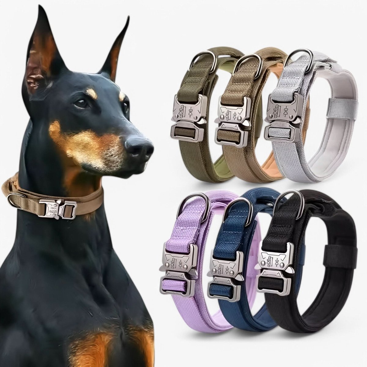 TACTICALK9 Hundehalsband-Set – Strapazierfähiges und verstellbares Halsband für Training und Alltag 2
