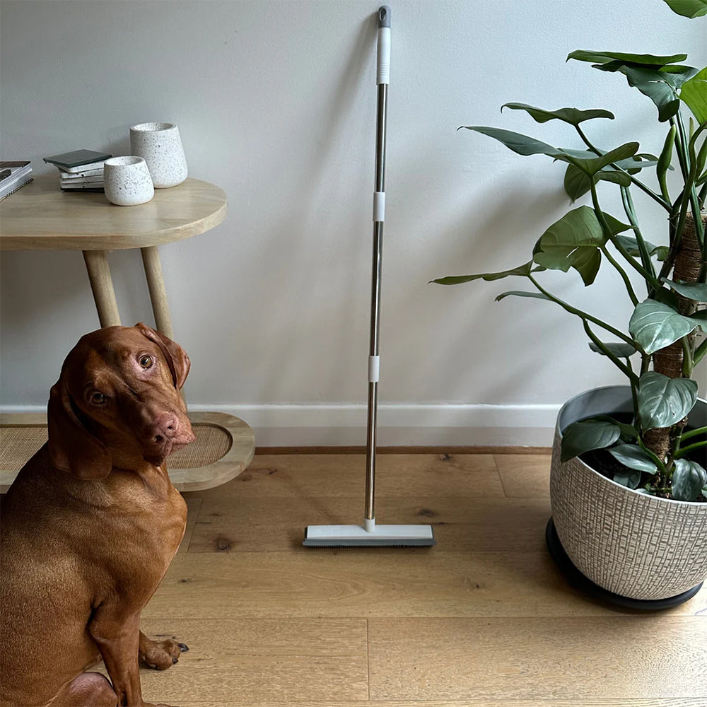 Teleskopkost med skraber til dyrehår og fleksibelt håndtag