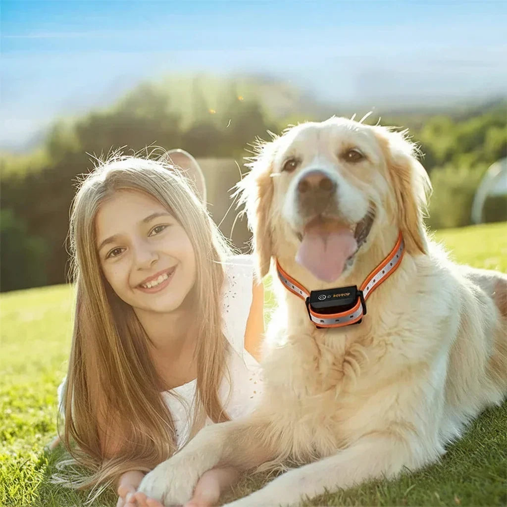 Ferntrainer-Halsband mit IP67 und Akku