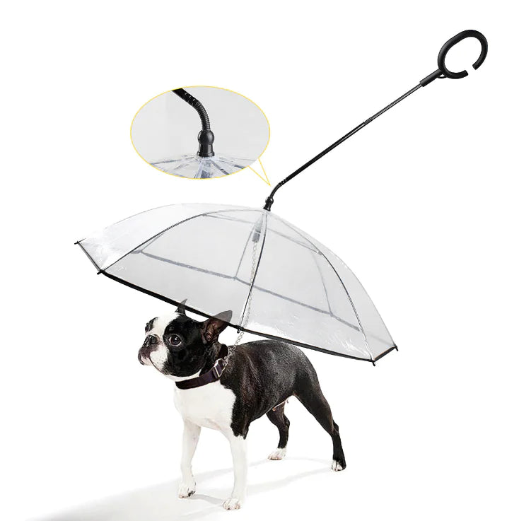 Hunde-Regenschirm – Transparentes Design, Wasserdichtes Material & Leichte Handhabung