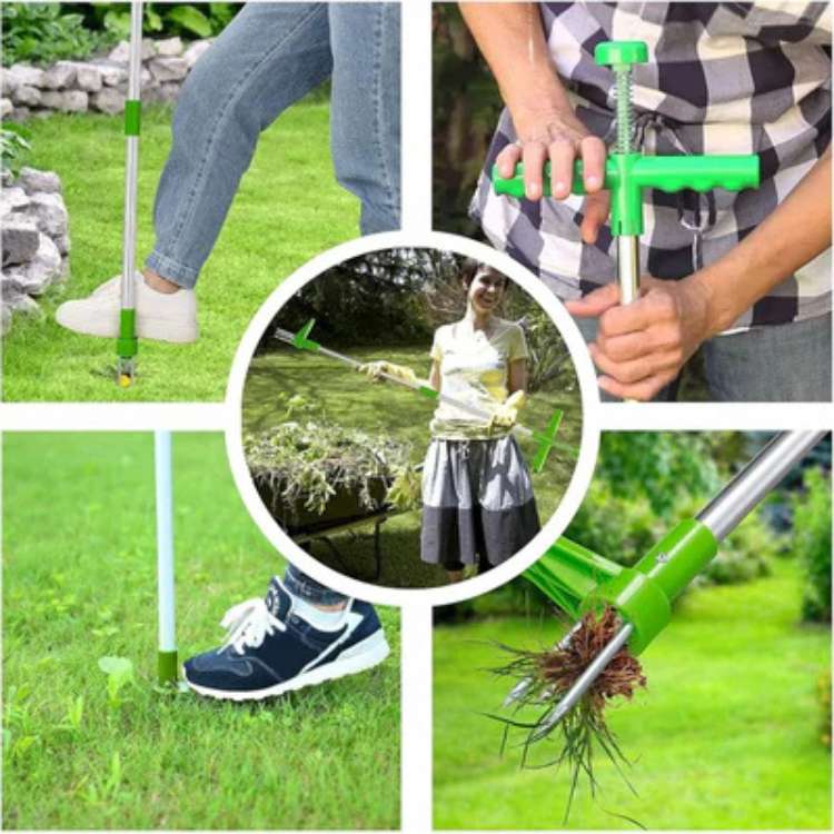 Unkrautstecher – Tiefwurzelgriff, robuster Stahl & ergonomisches Design 2