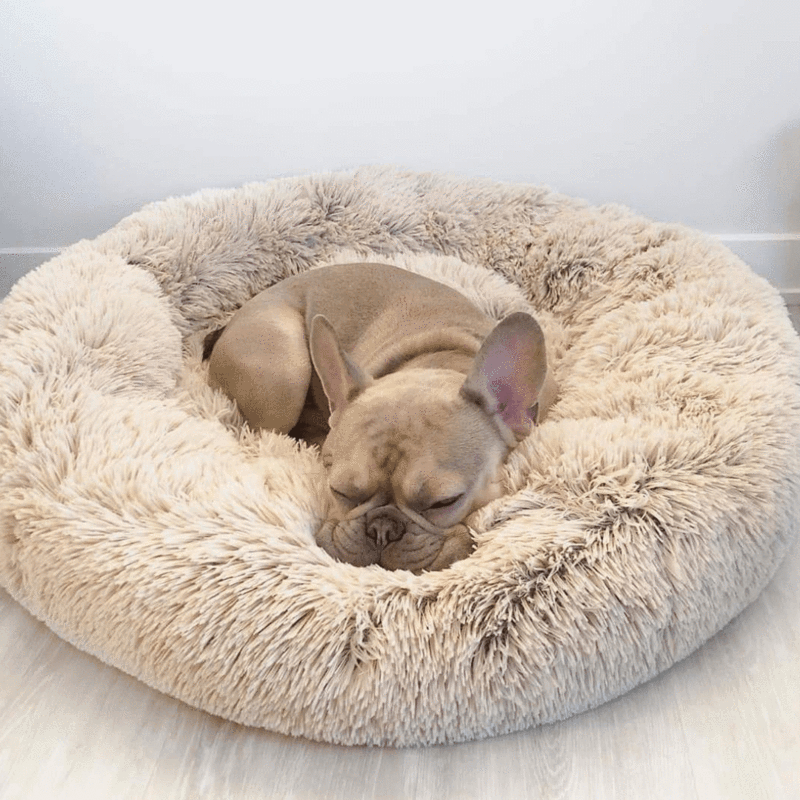 Cuccia per cani Wolke – Comfort soffice incontra sonno rilassante