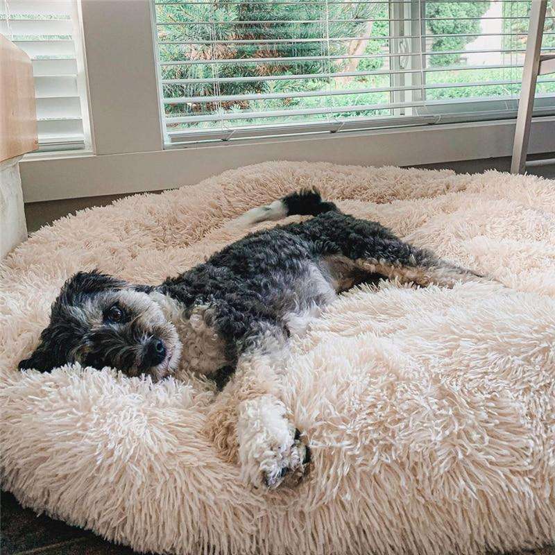 Cuccia per cani Wolke – Comfort soffice incontra sonno rilassante