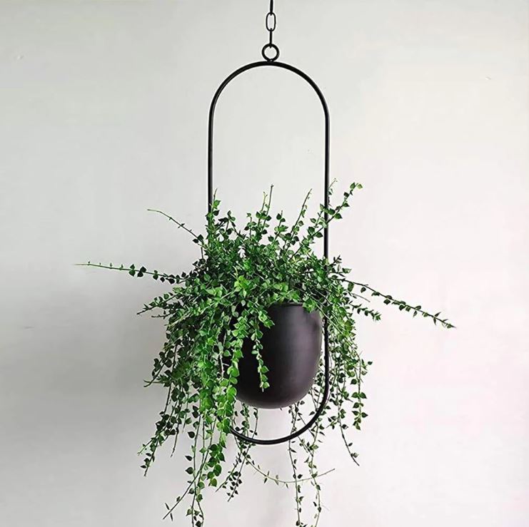 EleganceLeaf Suspensions pour plantes – Design luxueux rencontre esthétique naturelle