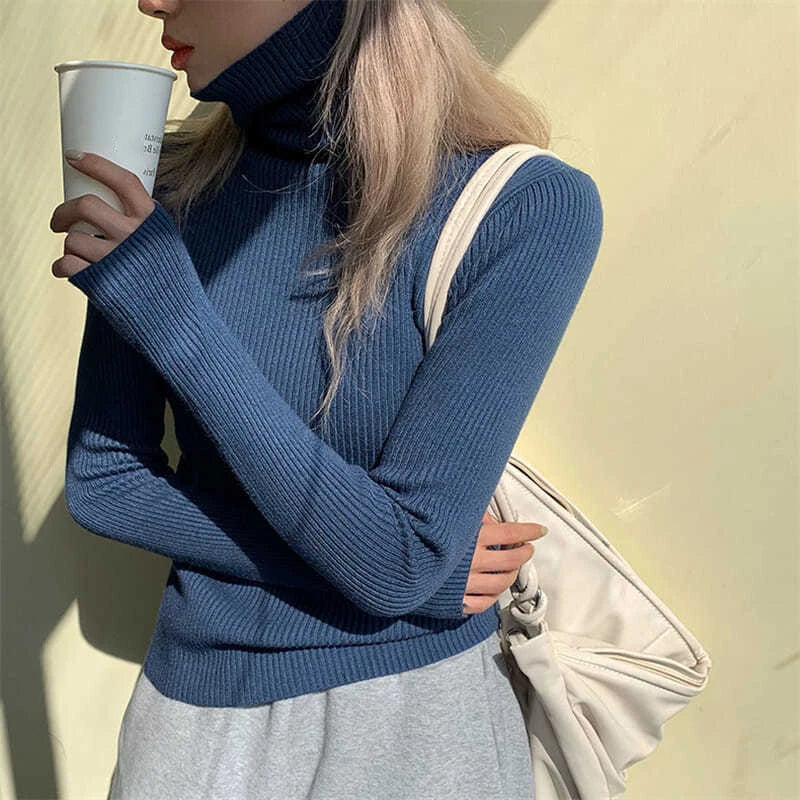 Pull à col roulé en maille fine coupe slim | Respirant, élégant